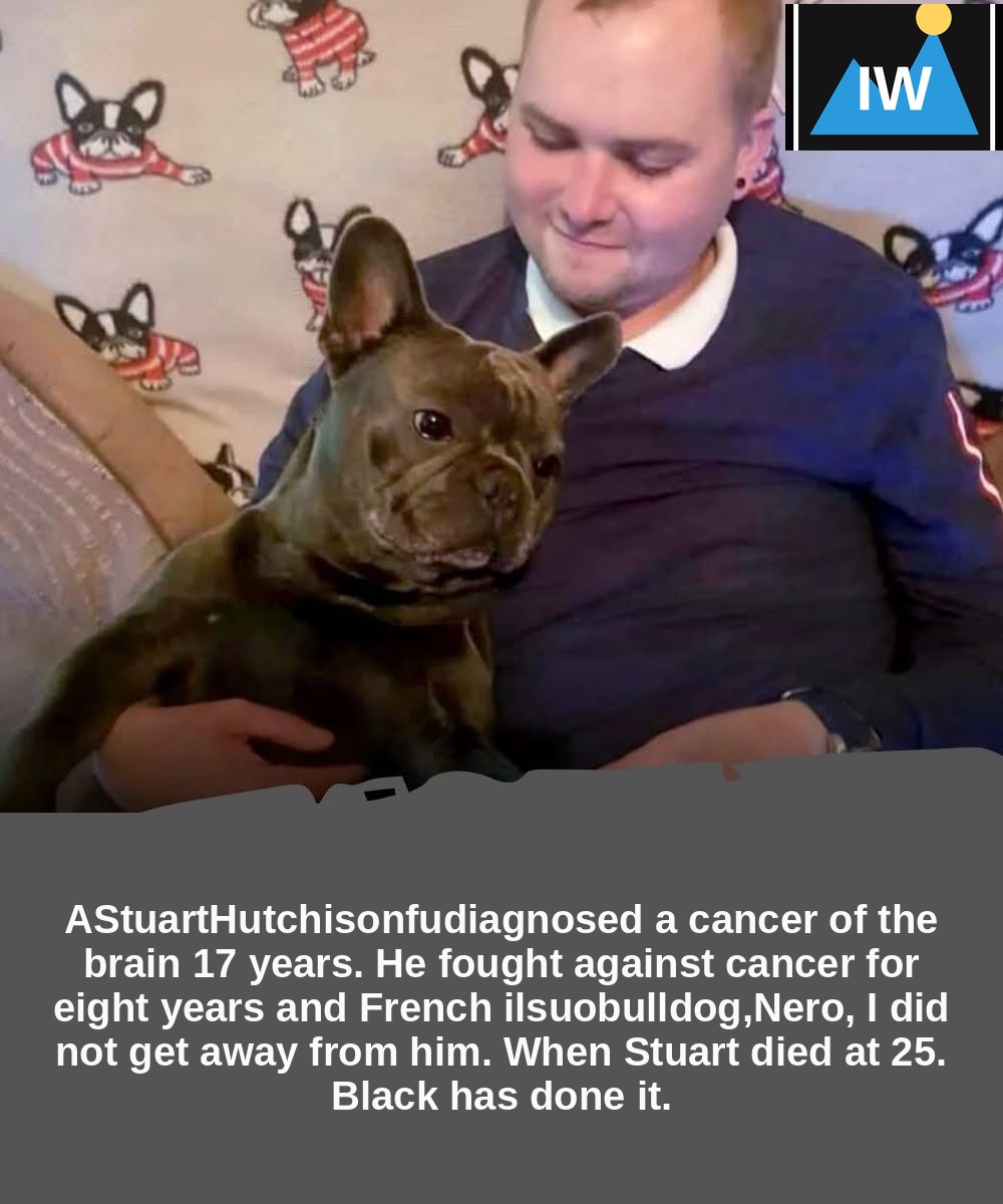 For eight years, Stuart Hutchison fought against cancer. At his side, almost always, there was Black.