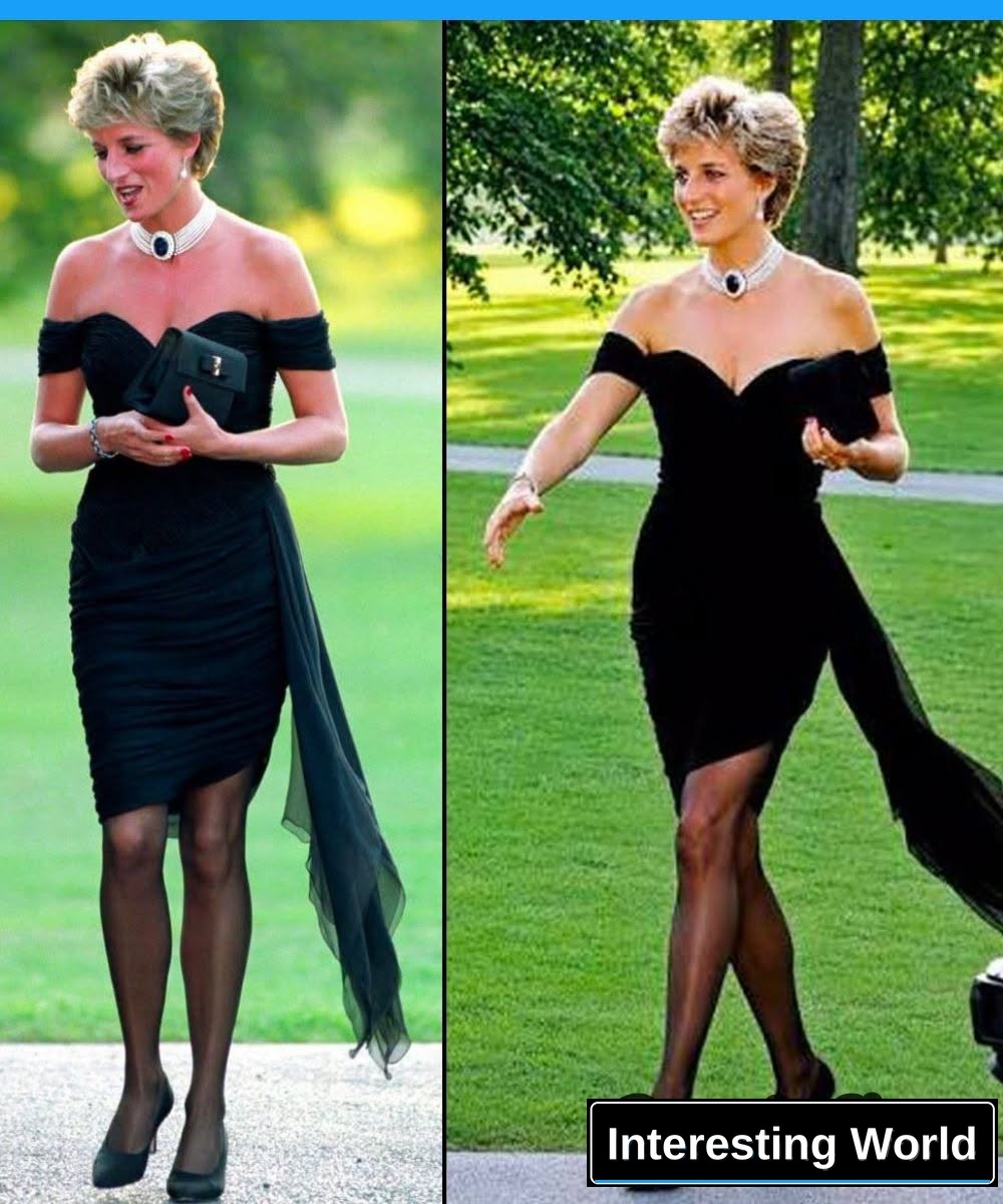 On the evening when Prince Charles admitted to millions of viewers that he had been unfaithful, Diana did not release in