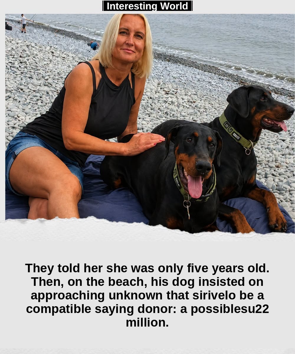 Indie kept moving away from his mistress to reach an unknown sitting about 90 meters away. No one could imagine that ins