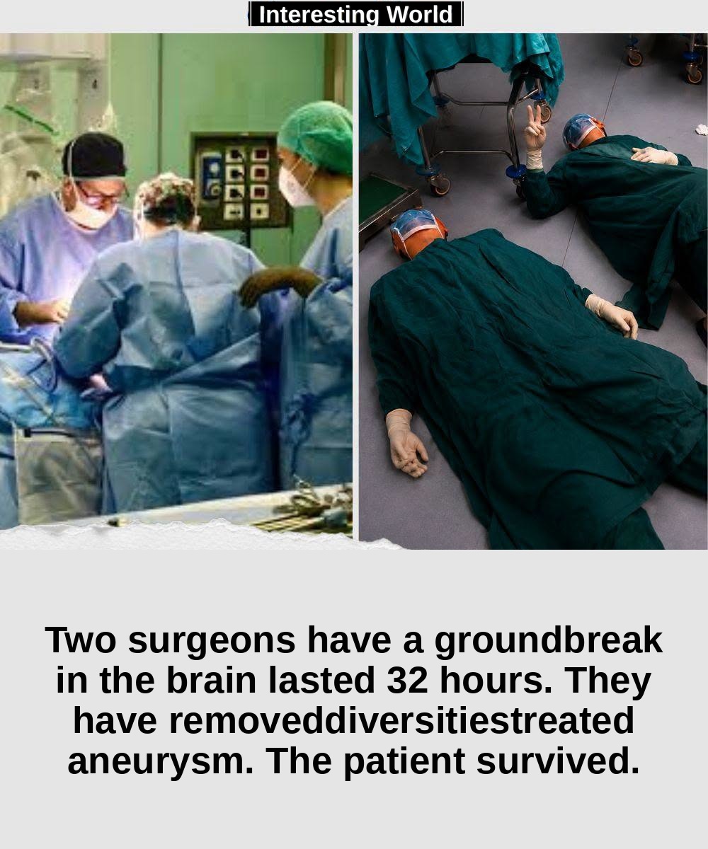For 32 hours they held a life suspended in their hands. Then they collapsed on the floor of the operating room.