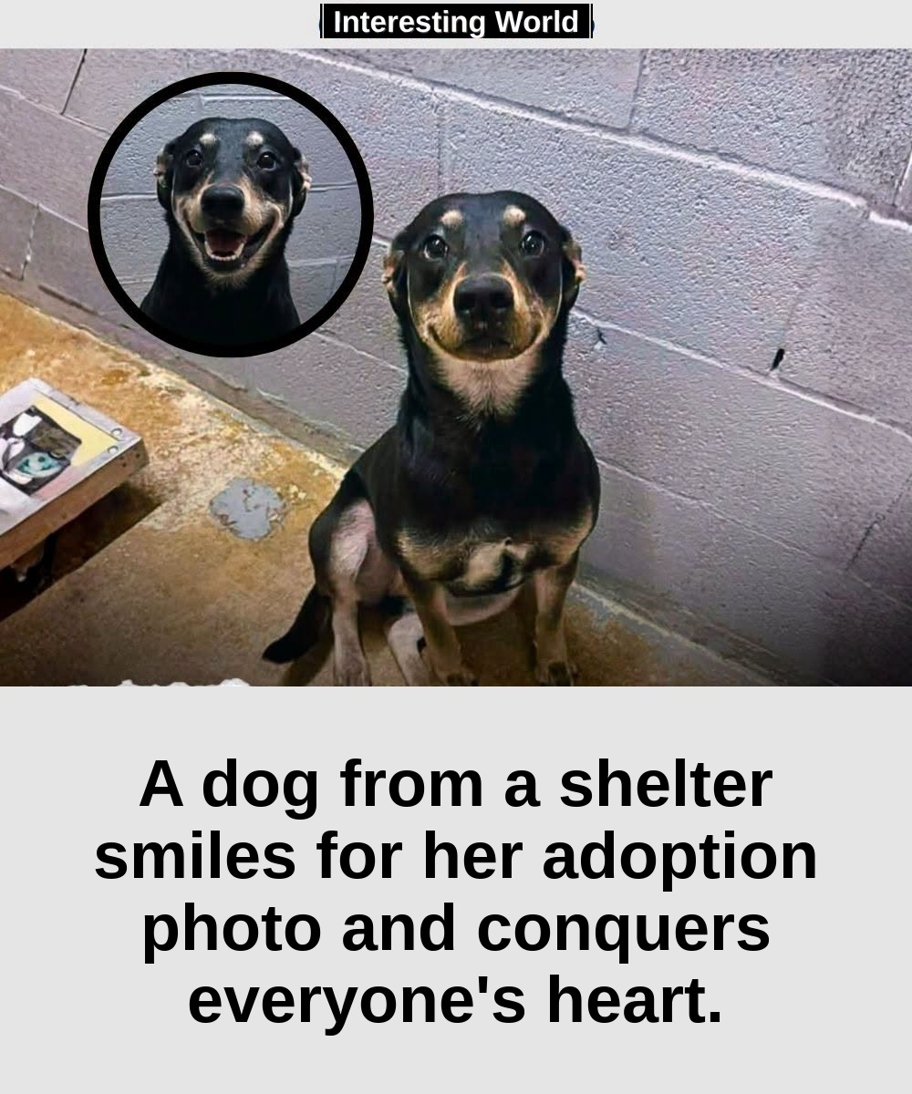 Billie lost his home and the person he lived with. Yet every time someone approached his cage, he did something surprisi