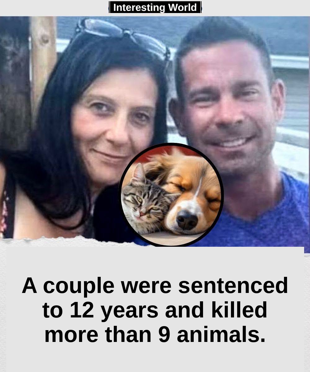 Irene Lima and Chad Kabecz were sentenced to 12 years in prison each after declaring guilty of several cruelty crimes ag