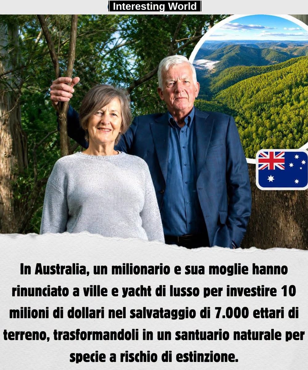 There are those who, after having accumulated a great fortune, dream of a yacht or a postcard villa. An Australian coupl