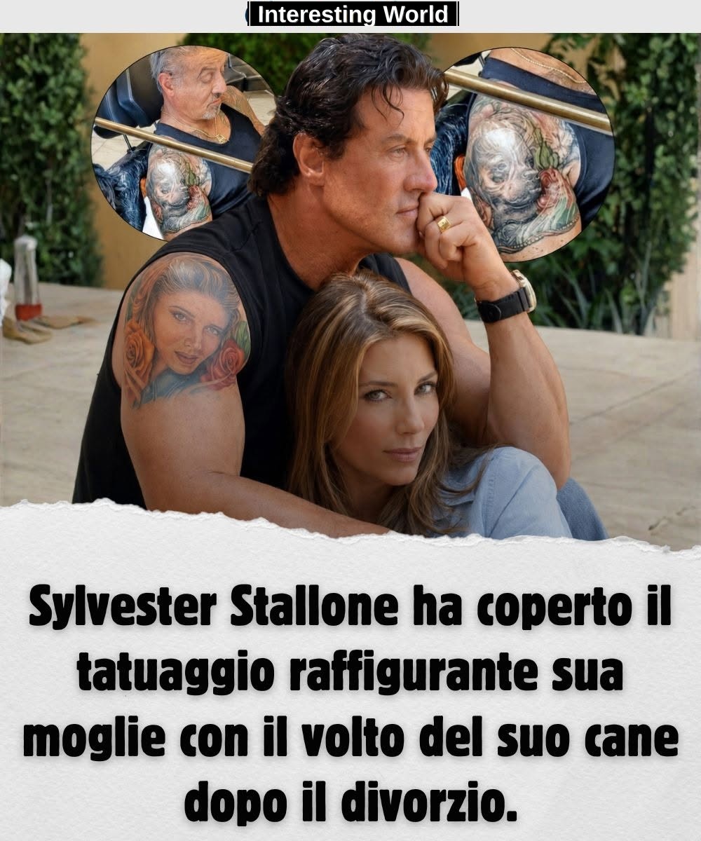 For many it seemed a simple covered tattoo. In fact, that change brought forth an avalanche of questions about Sylvester