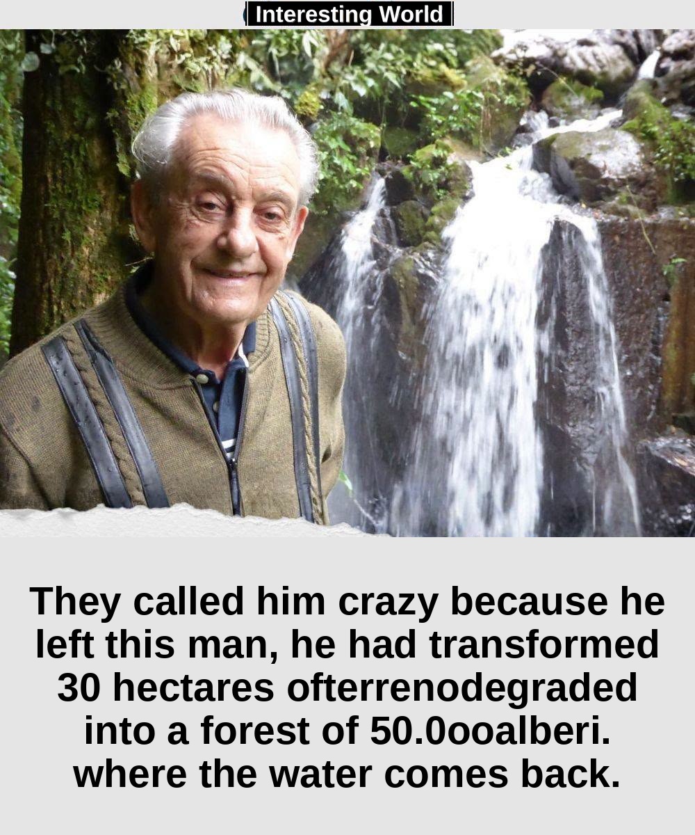 They told him he was wasting the land. Some trees would have taken 20 years to bear fruit. Antônio Vicente continued to 