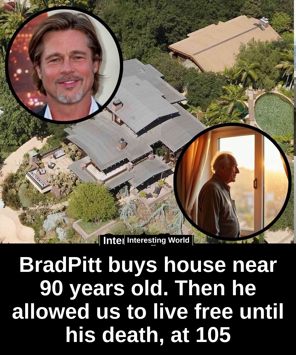 Everyone noticed that Brad Pitt kept buying houses in his neighborhood. Almost nobody noticed the most important choice 