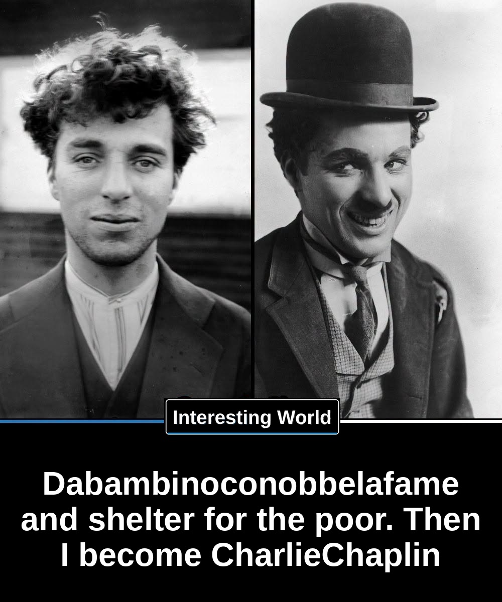 Charles Chaplin was now rich enough to guarantee his mother everything she missed most of her life.