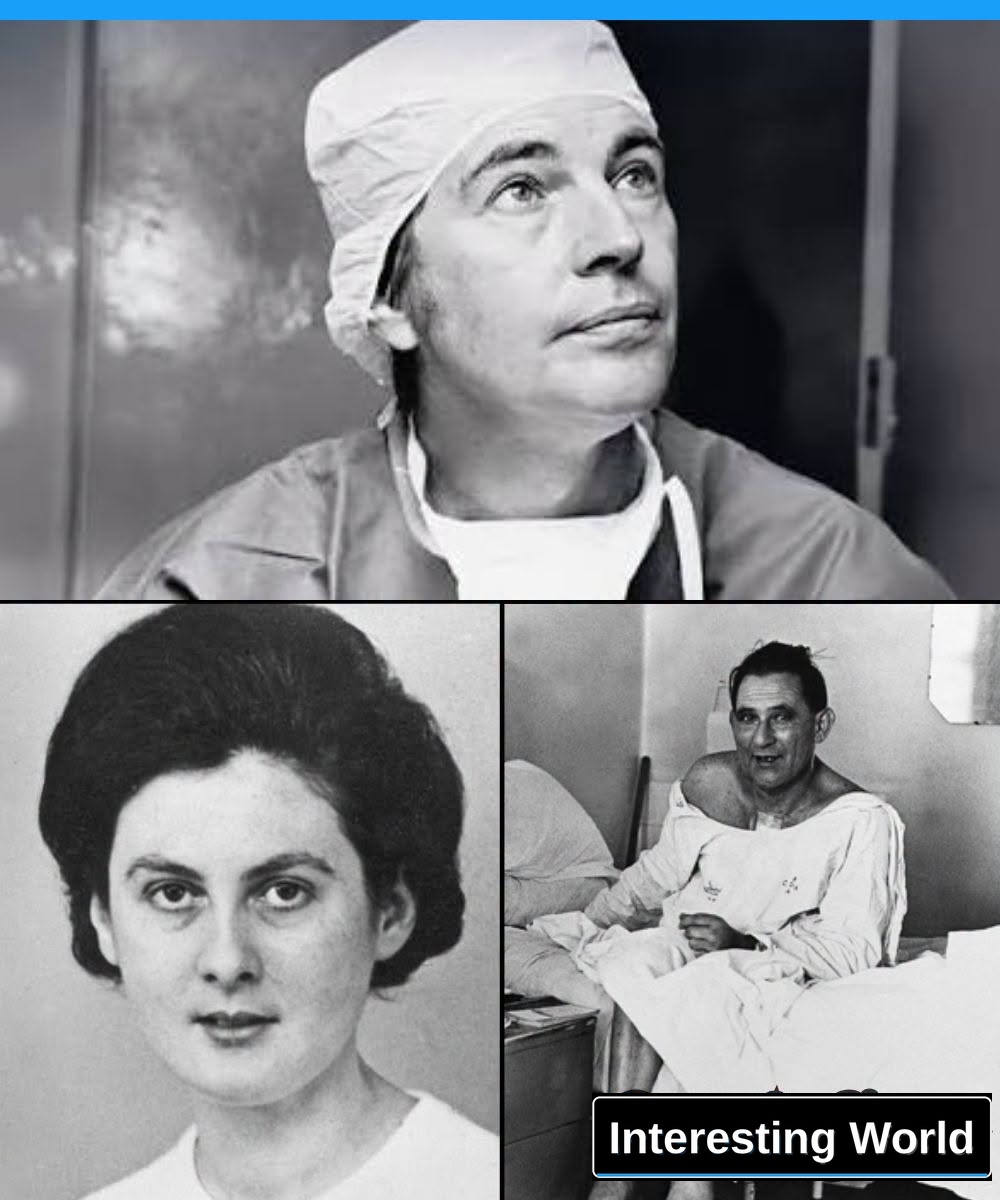 Denise was 25 years old and could no longer be saved. But his heart could still save another person. That night a surgeo