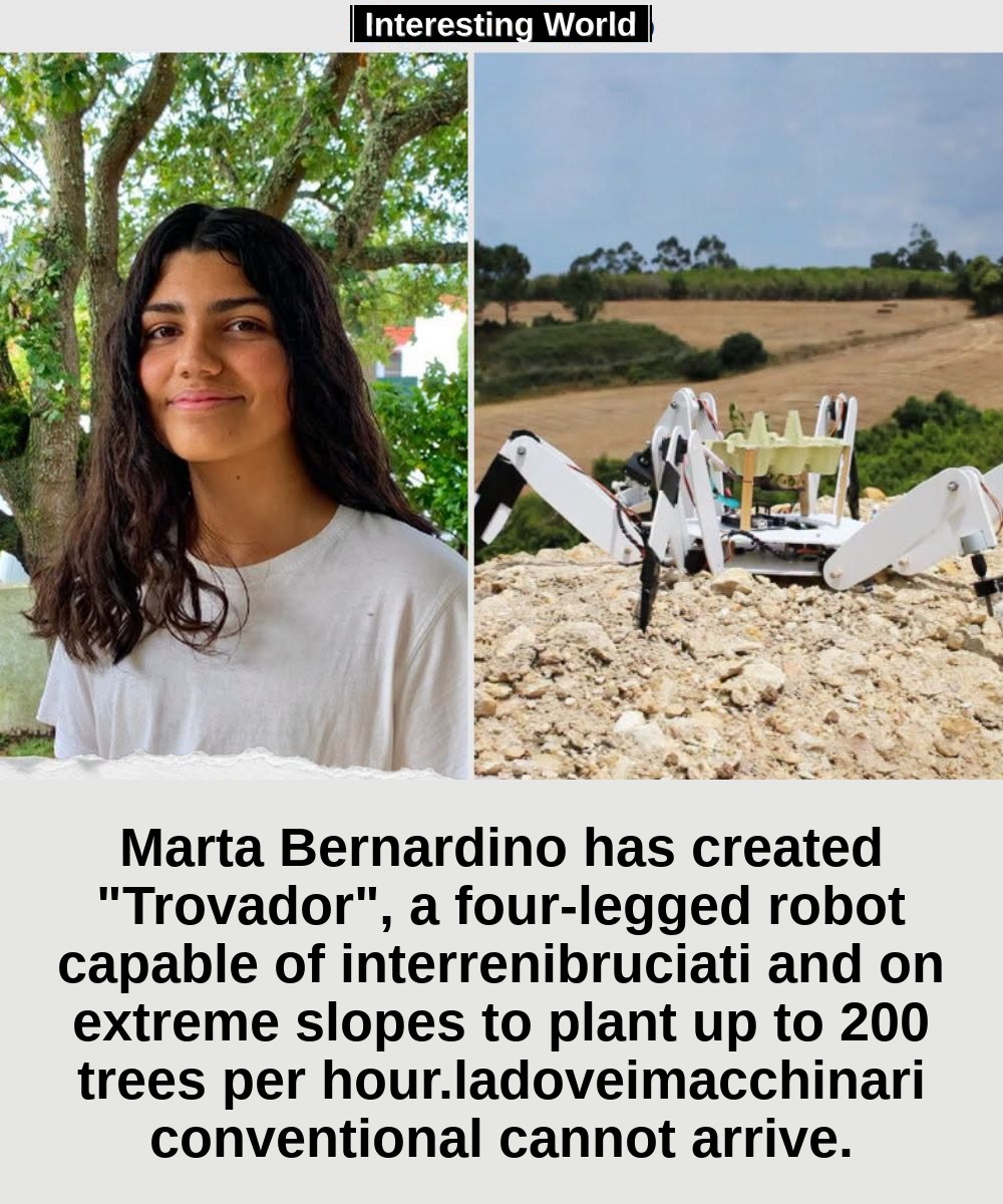 Where a conventional person or vehicle can even have difficulty getting there, Marta Bernardino imagined sending a robot
