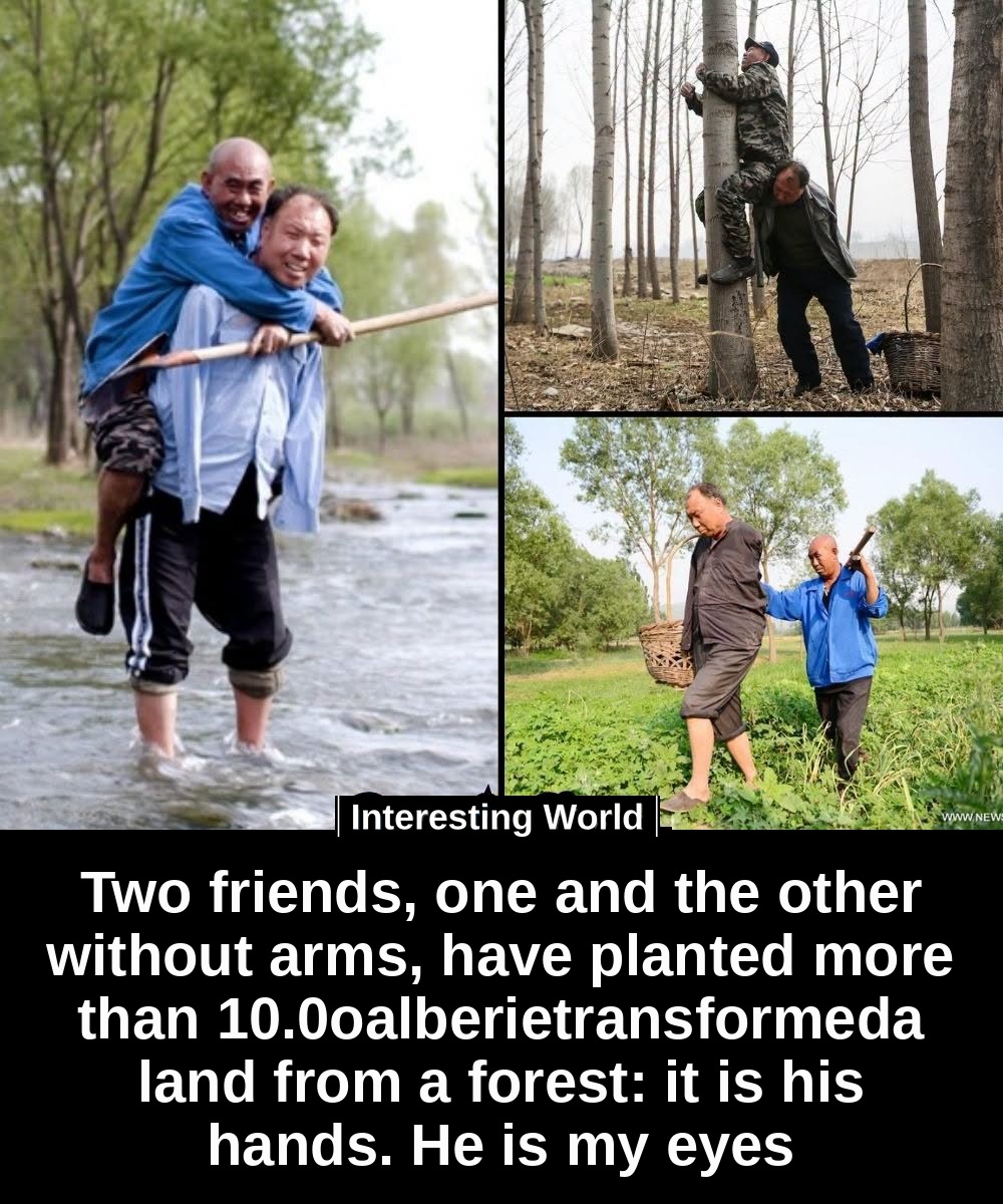 One can't see. The other has no arms. Together they made what seemed impossible grow.