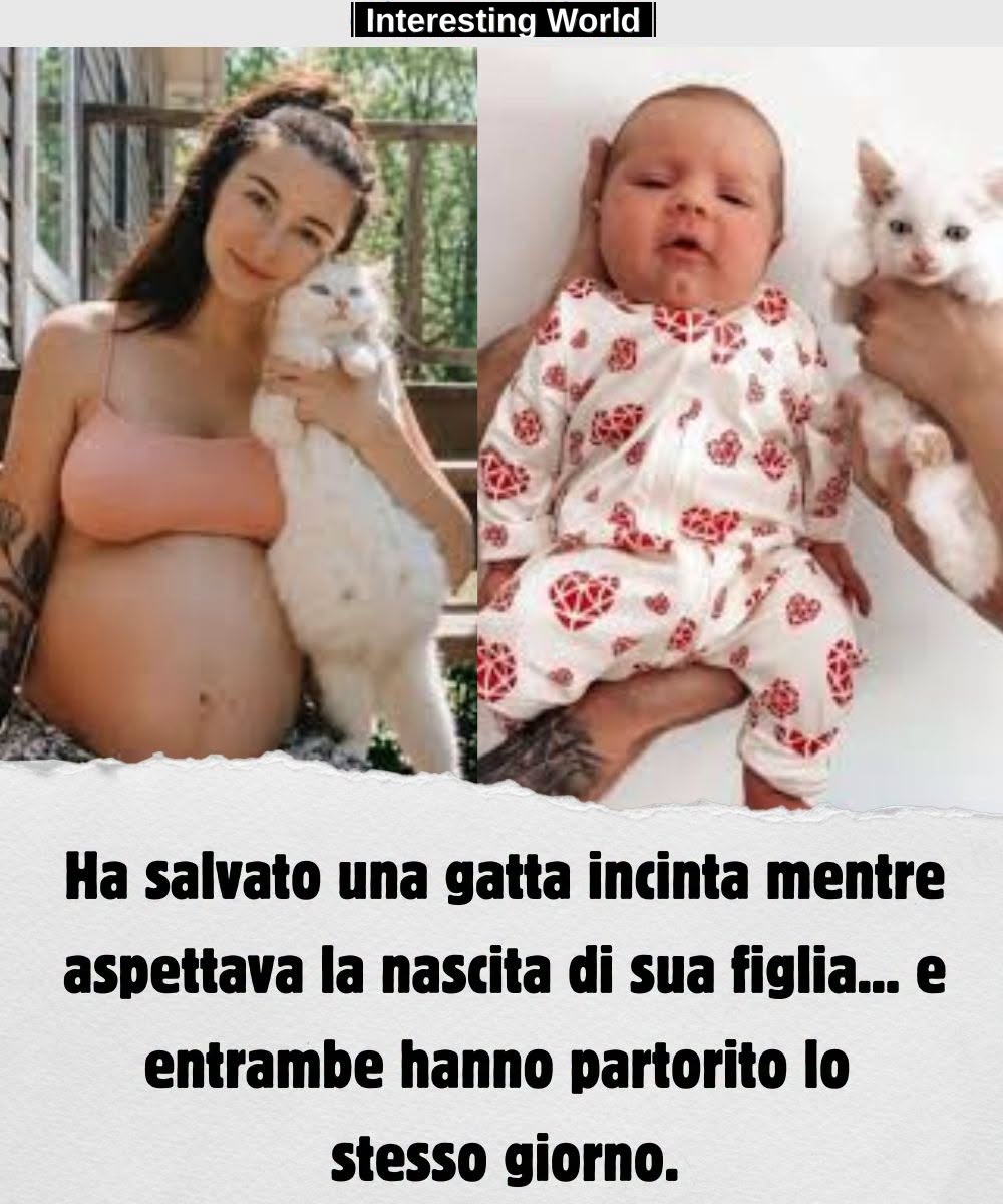 While he was preparing to become a mother, he did not imagine that at the same time, he would help another future mother