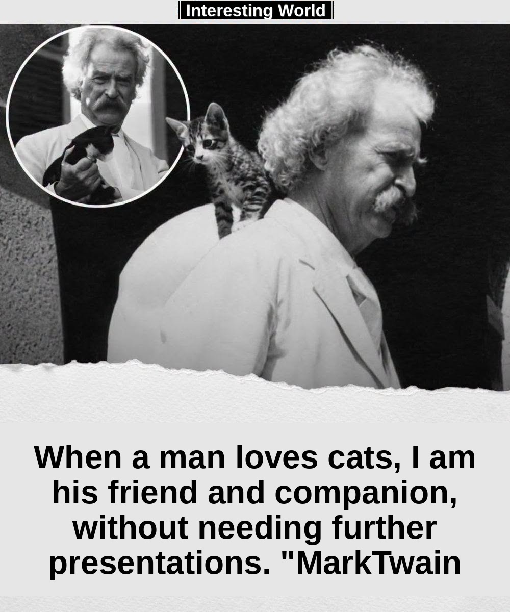 For Mark Twain there was a detail able to immediately make an interesting person: his relationship with cats.