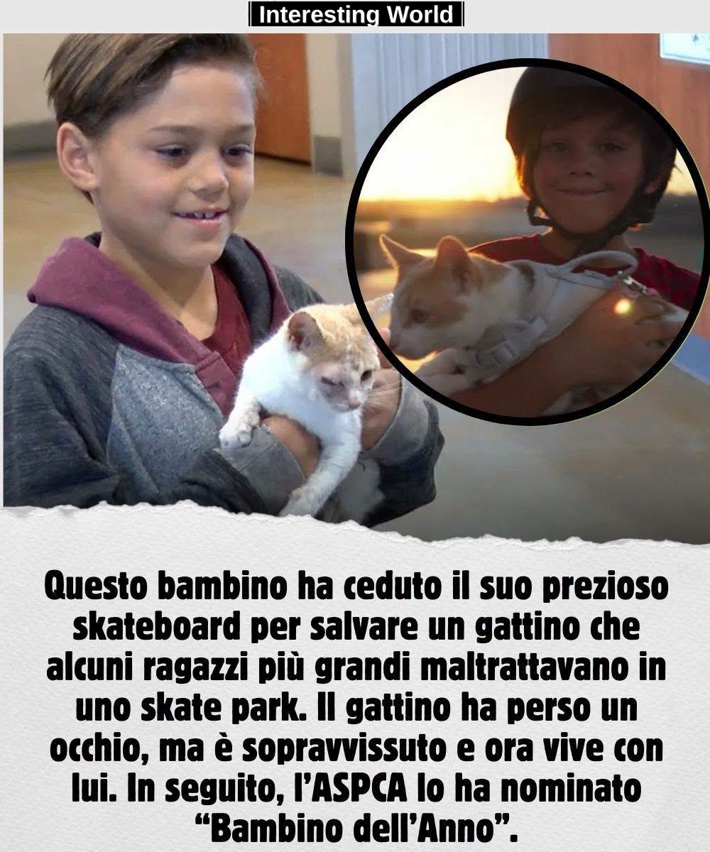 He was eight years old and there were several older boys in front of him. They were throwing a kitten like a ball.