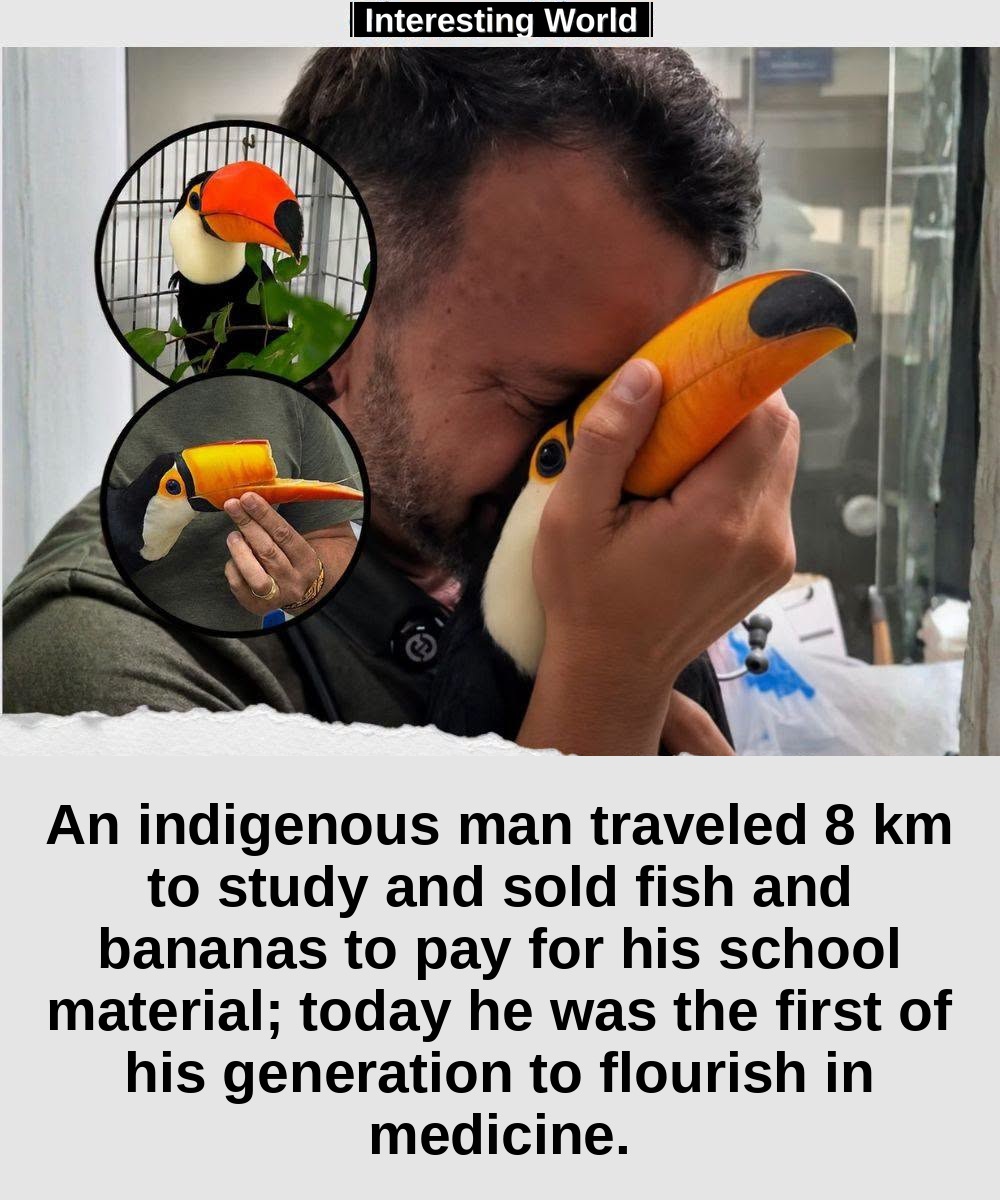 When Cosim finally managed to get food with his new beak and eat without the help of anyone, the veterinarian who had fo