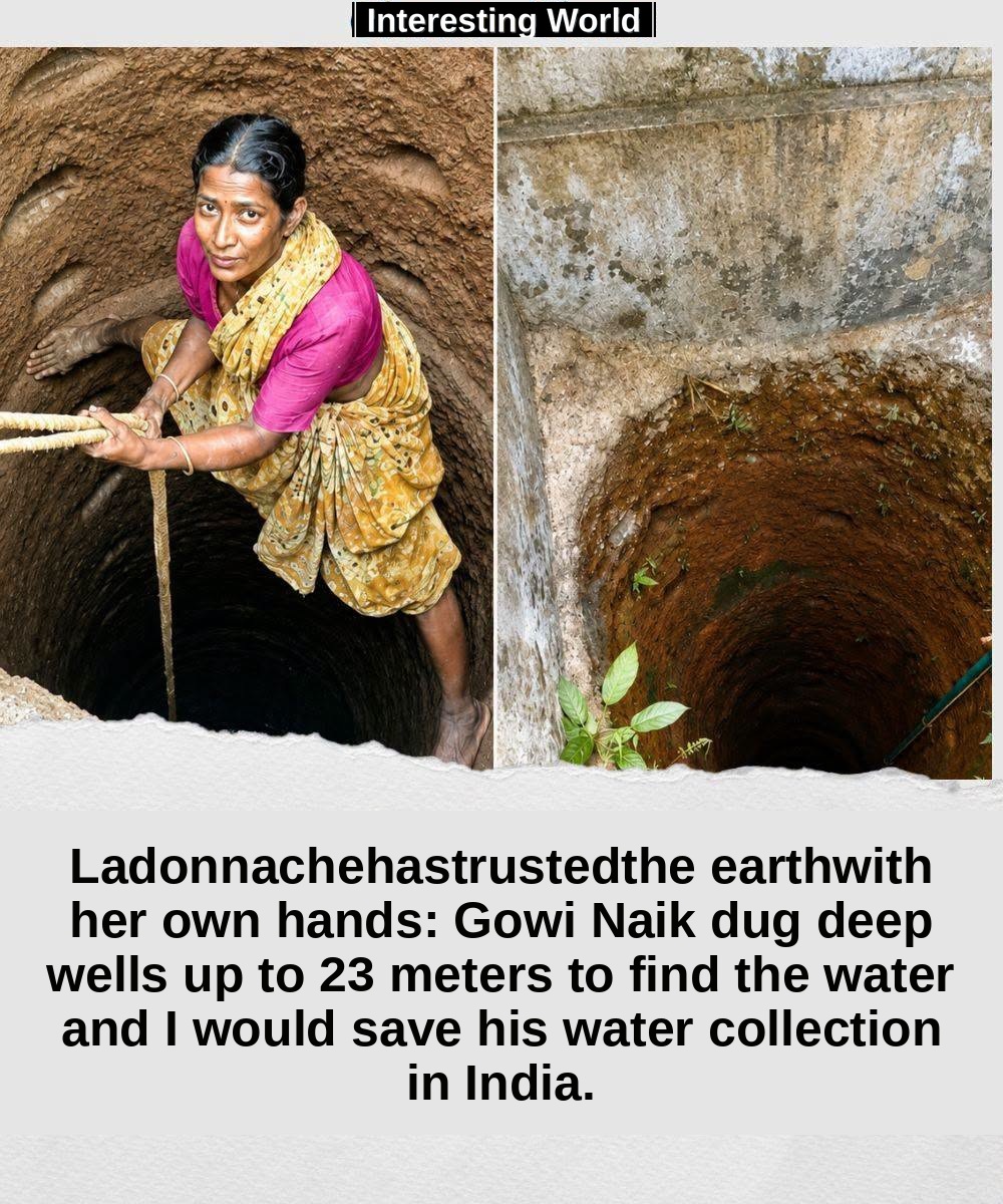 When it reached hard rock, there was no trace of water. Gowri could have stopped. Instead he took his tools and continue