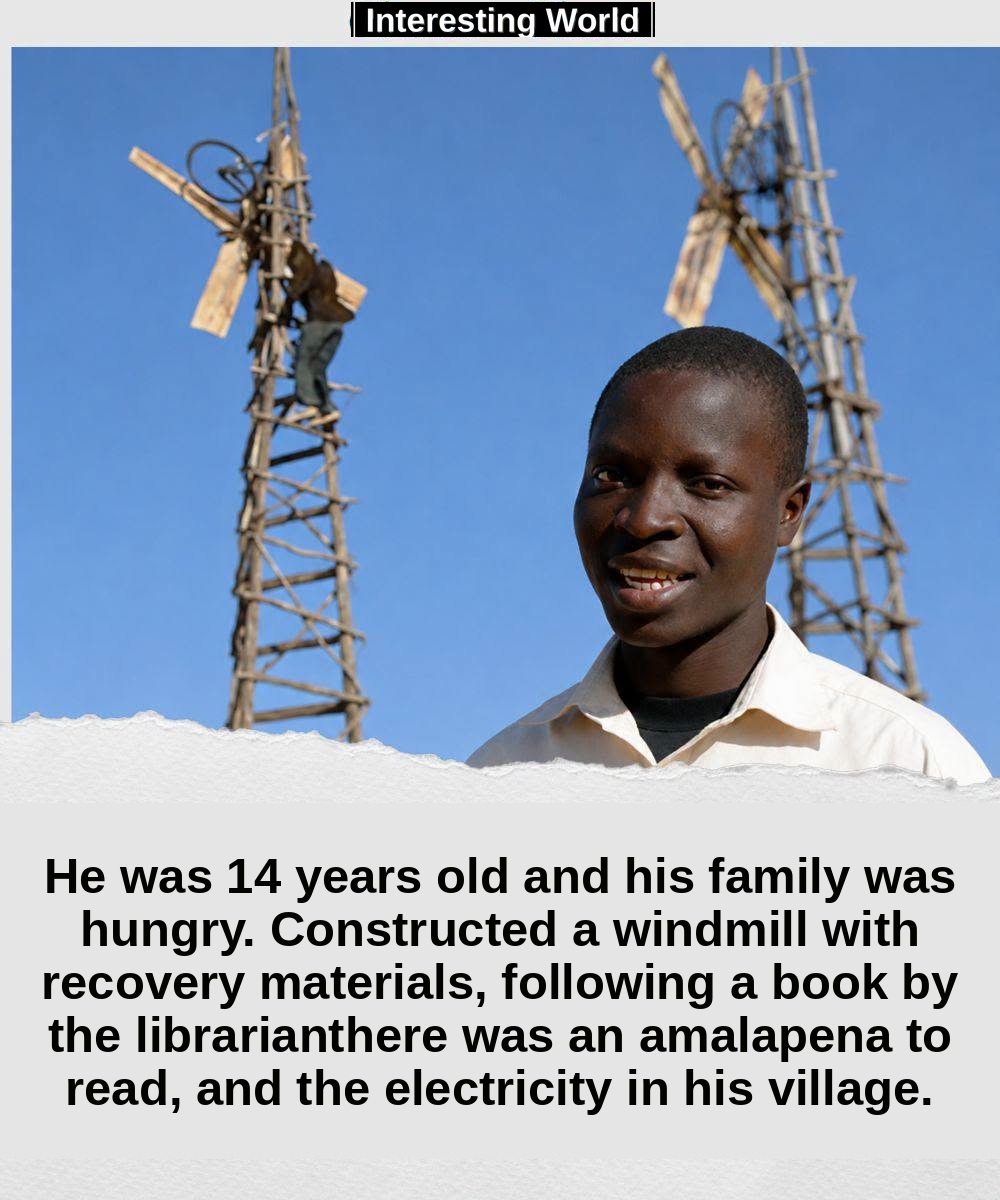 They called him misala, "the fool". Because while his village faced hunger, William Kamkwamba built a tower with scraps,