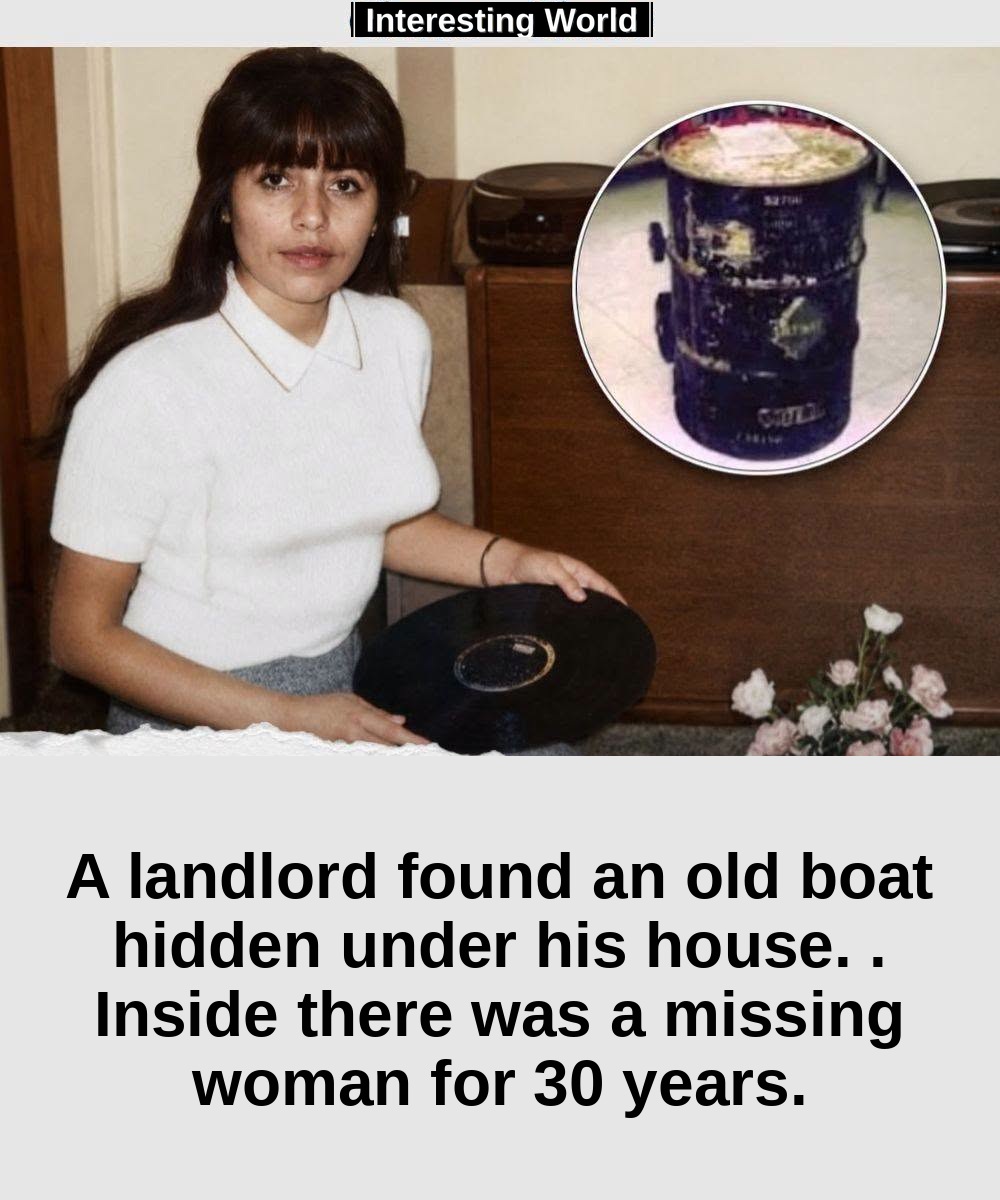 For about thirty years, under a quiet suburban house in Jericho, New York, a 55 gallon stem was hidden. No one imagined 