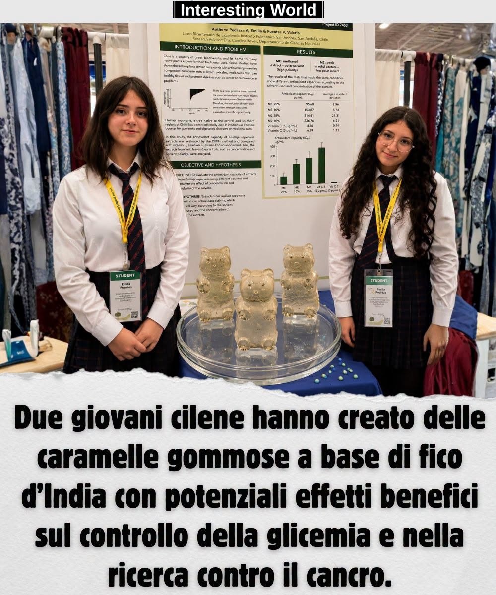 From a plant typical of the arid regions an idea was born that brought two young Chilean researchers on an international