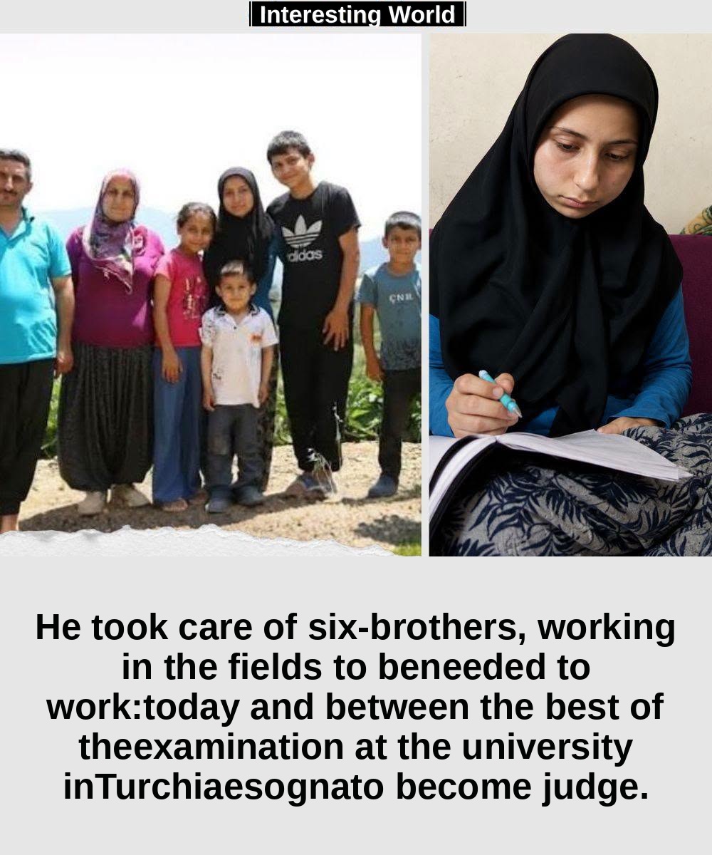 When he could finally take the tablet to study, Mevlüde had often spent hours dealing with six brothers, working in the 